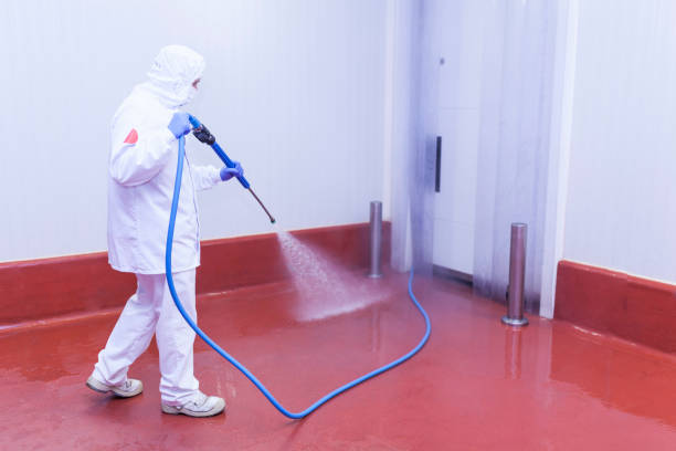 Best Spring Cleaning  in Bunker Hl, IL